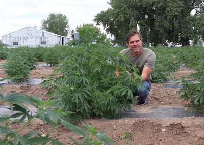 What Does the U.S. Hemp Roundtable Mean for CBD And Your Pet?