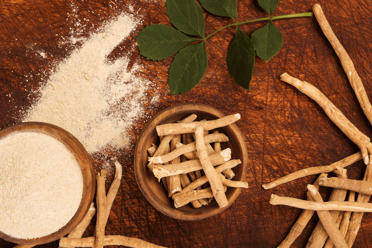 adaptogens for pets - ashwagandha