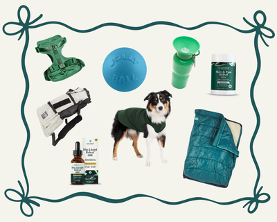 Gift Guide For Your Adventure Dog