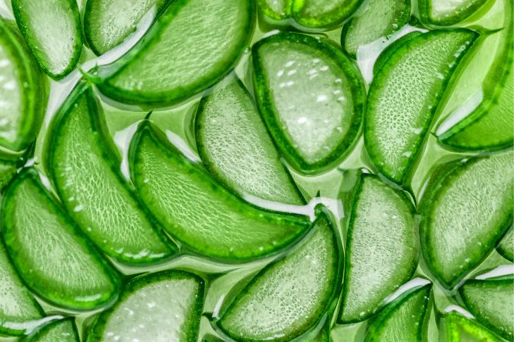 Guide to Herbal Remedies and Your Pet