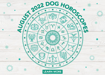 Dog Horoscopes: What to Expect in August 2022