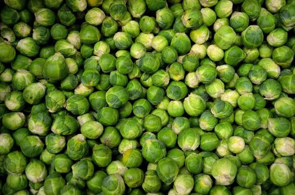7 Green Vegetables That Are Dog-Friendly