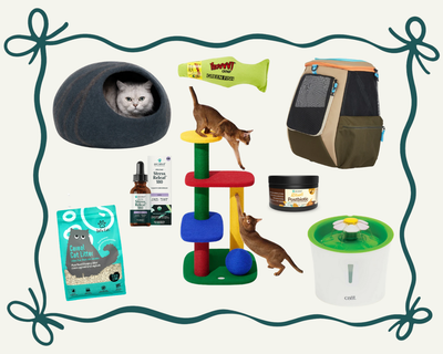 Gift Guide For Every Cat