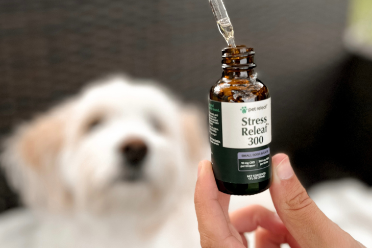 cbd oil vs chews for pets