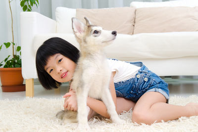 7 Simple Chores For Kids With Pets During The School Year