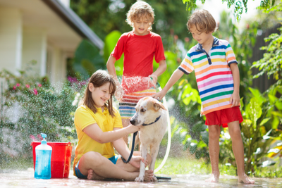 School's Out: How to Involve Kids In Your Pet's Care During Summer Break