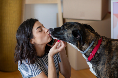 Do Pets Experience Love?