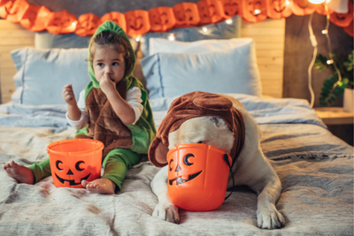 Halloween-Safe Pet Treats (And Those to Avoid!)