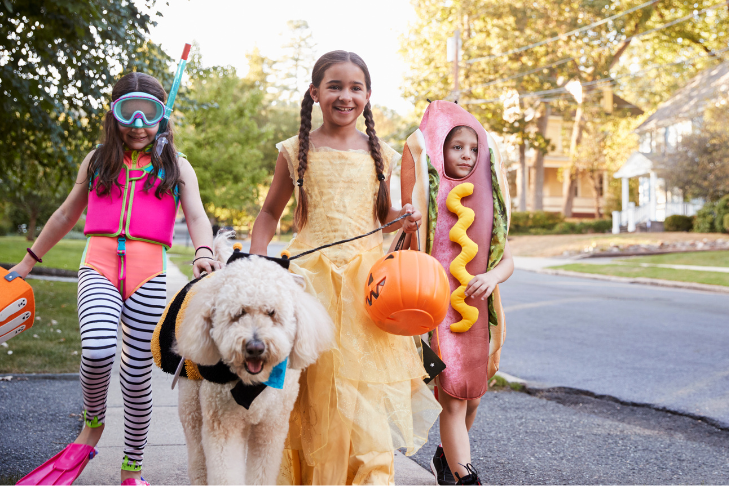 dog on halloween