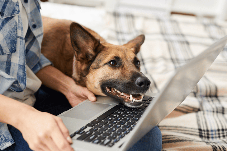 How to Manage Your Subscription & Payment Details