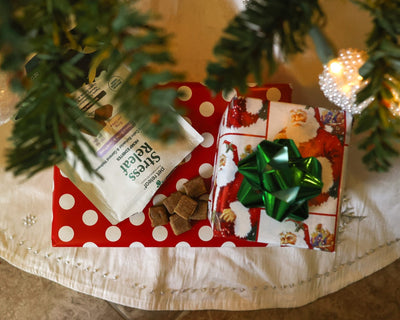 2023 Sustainable Pet Products Holiday Gift Guide
