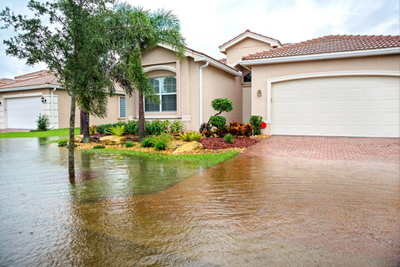 How to Keep Pets Safe During Flooding