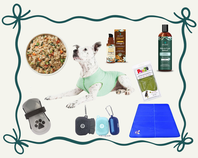 Gift Guide For The Itchy Dog