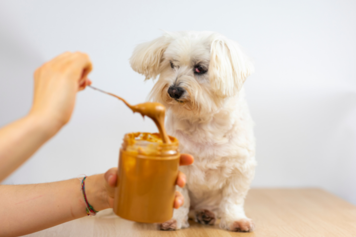 peanut butter recipes for dogs