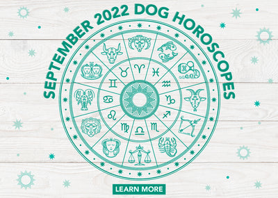 Dog Horoscopes: What to Expect in September 2022