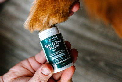 4 Ways Your Pet Can Use Skin &amp; Paw Releaf Topical Ointment