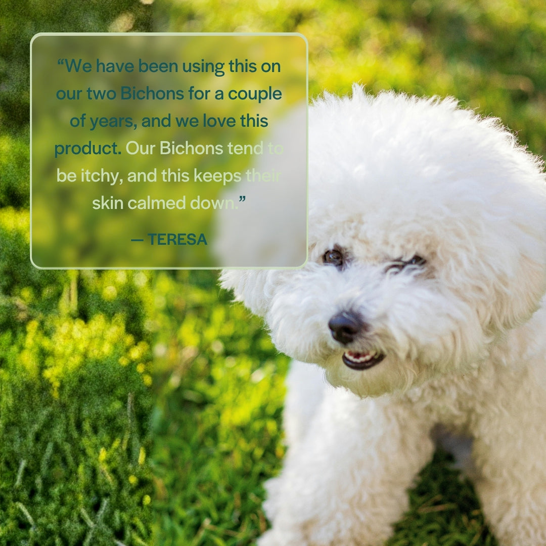 Travel-Size Dog Shampoo – 2-in-1 Lavender & Mint | Pet Releaf