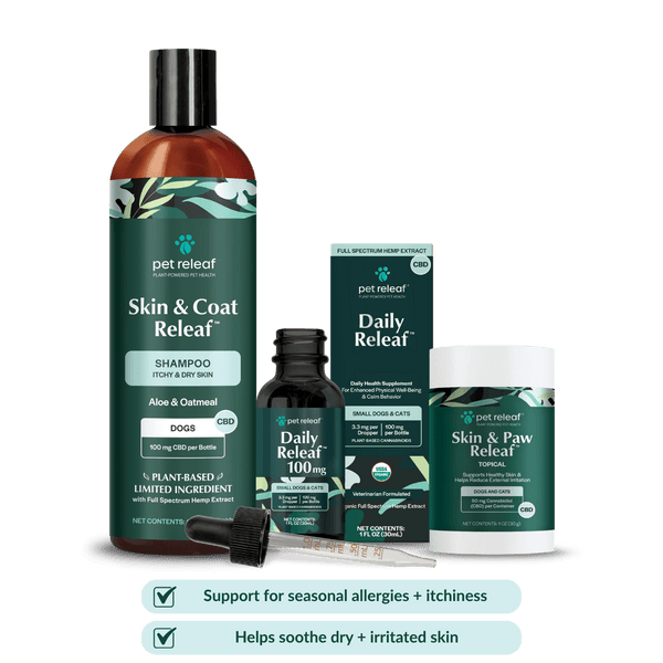Seasonal Allergies Routine: Natural Support for Skin and Coat