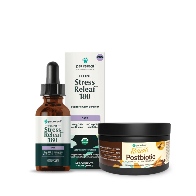 Holiday Calming Support Bundle for Cats