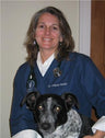 Colleen Smith, DVM, CVA, CVCP