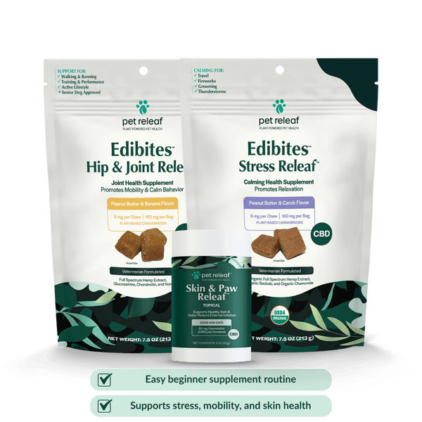 Essential Dog Supplement Routine