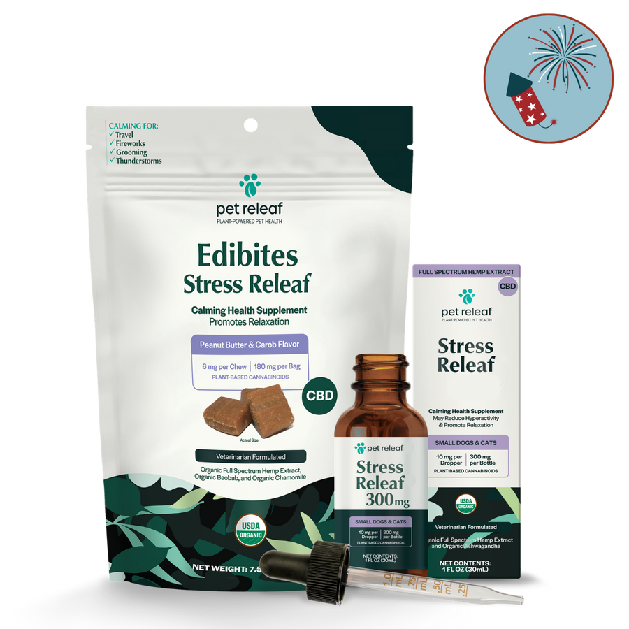 Calming Routine for Dogs