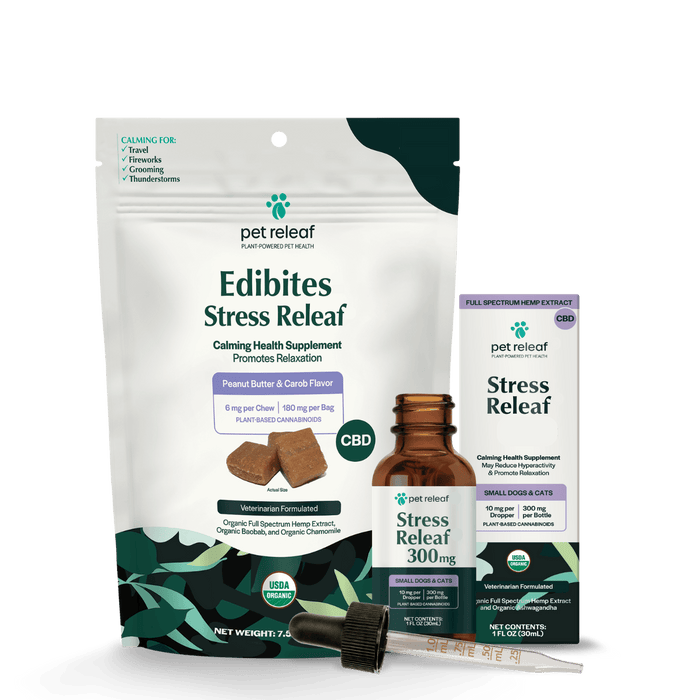 Calming Routine for Dogs