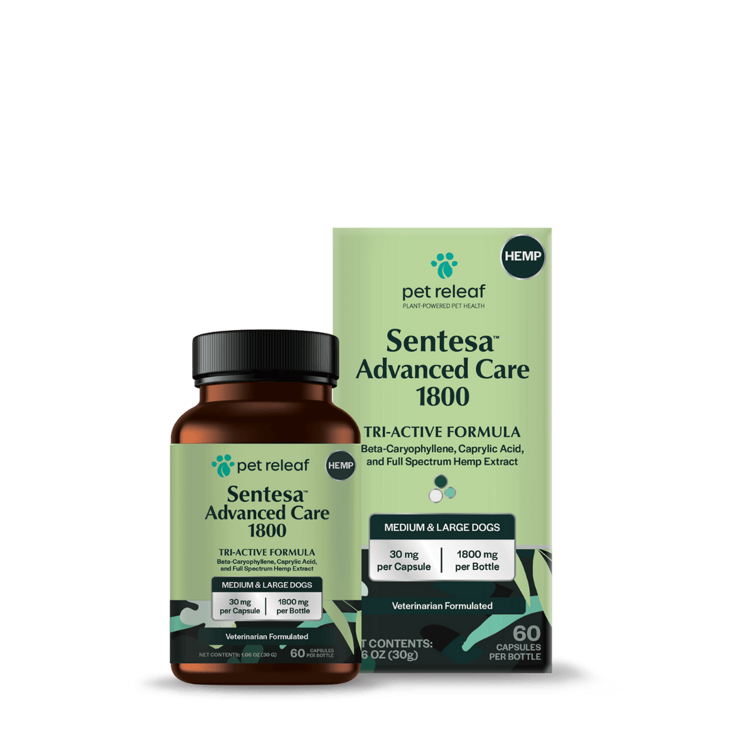 SENTESA Advanced Hemp for Medium/Large Dogs | Pet Releaf - Pet Releaf