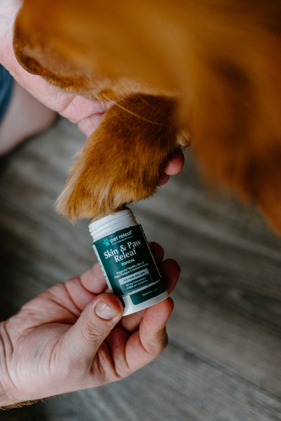 Skin & Paw Releaf Topical for Dogs & Cats