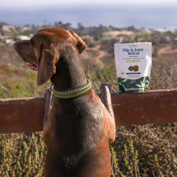 Hip and Joint Edibites for Dogs