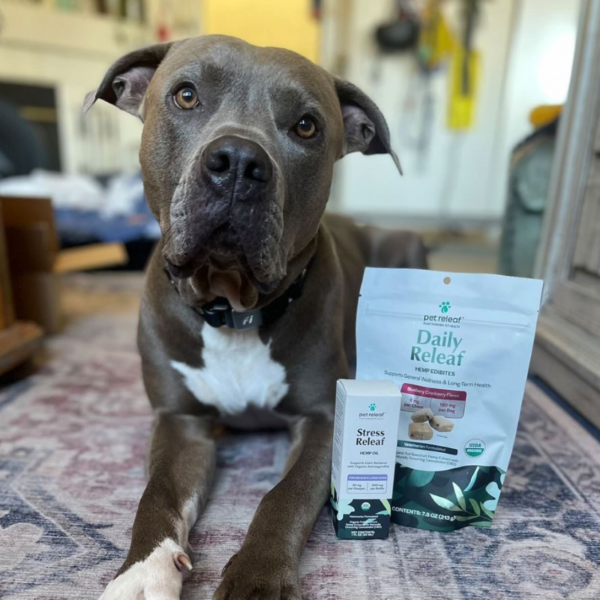 Daily Releaf for Large Dogs CBD Chews