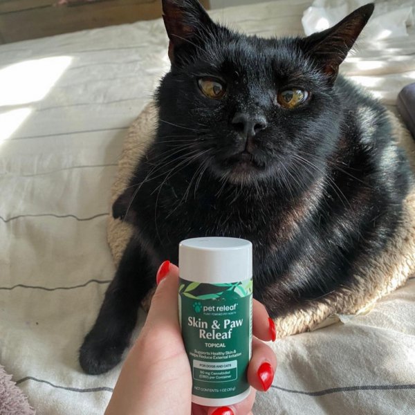 CBD for Cats Skin and Paw Releaf