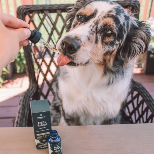 Daily Releaf Hemp Oil for Dogs