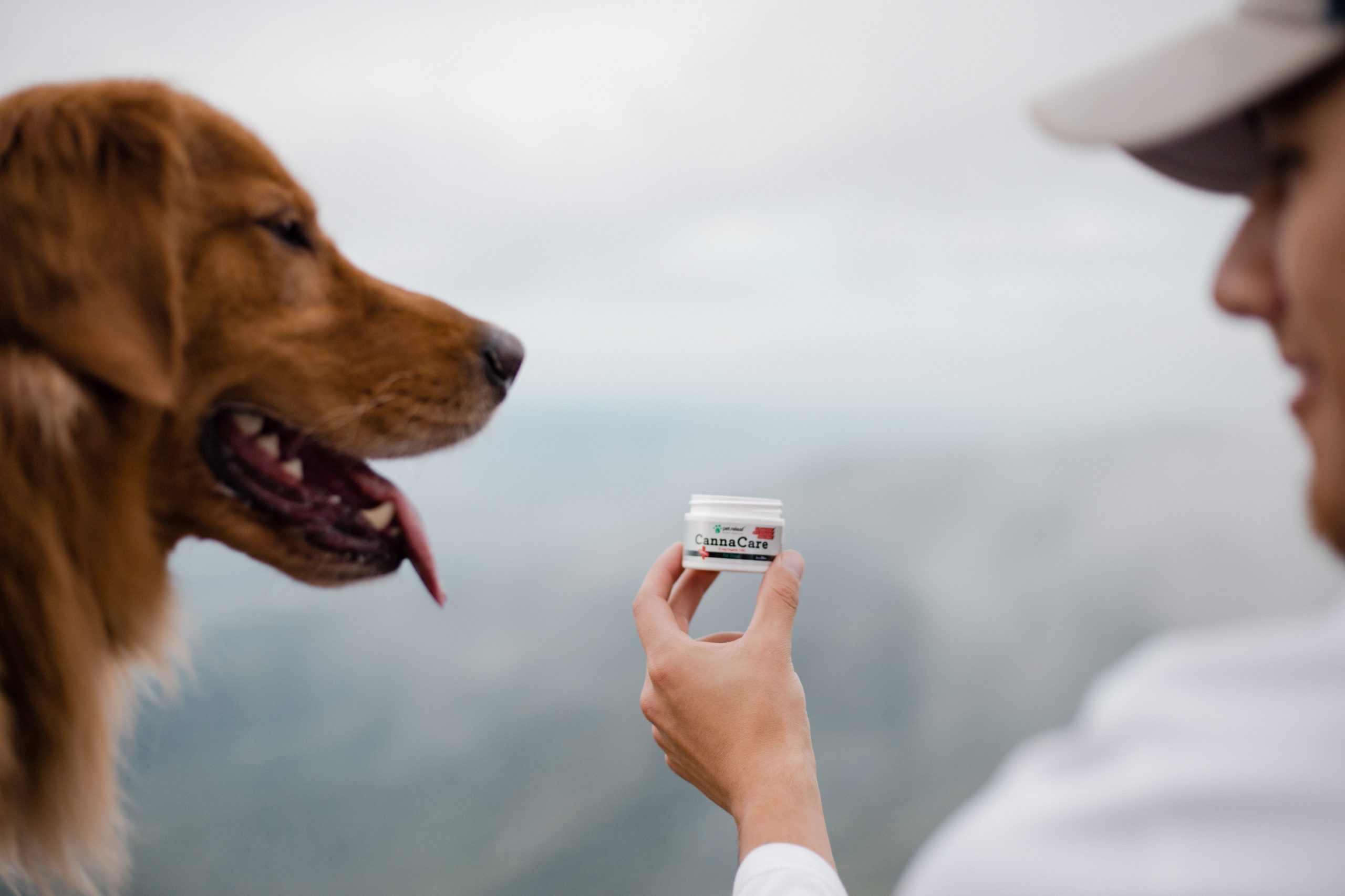 Pack the Essentials: Pack pet travel essentials like Canna Care