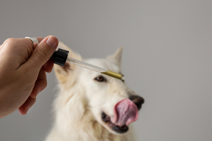 dog being administered pet releaf cbd hemp oil for stress