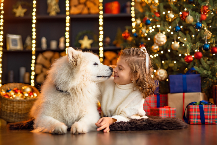 dog and girl christmas