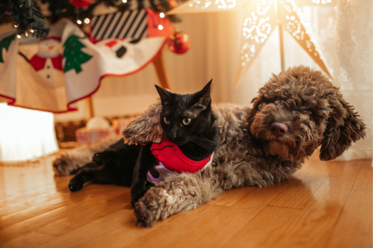 dog and cat christmas holiday tree