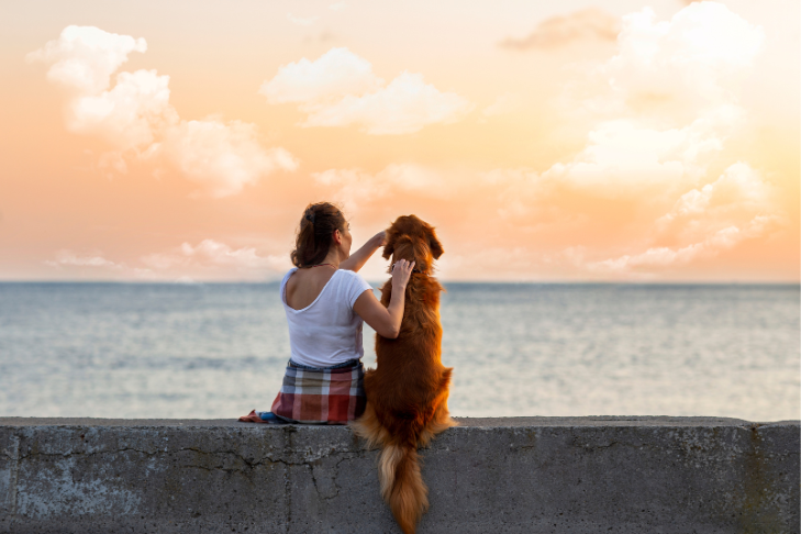 dog and owner watching sunset bonding at the beach