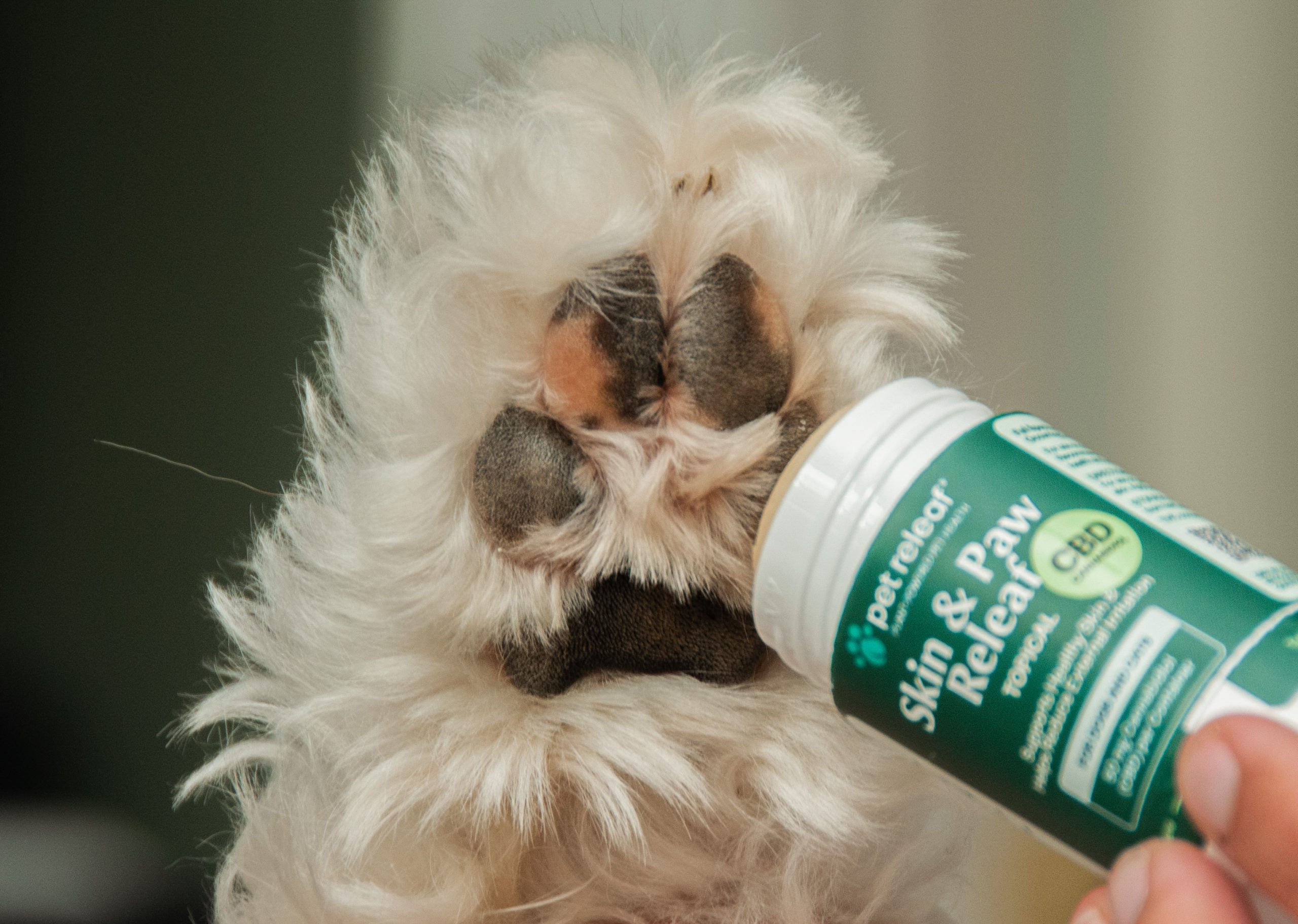 dog lotion skin and paw releaf dry paws