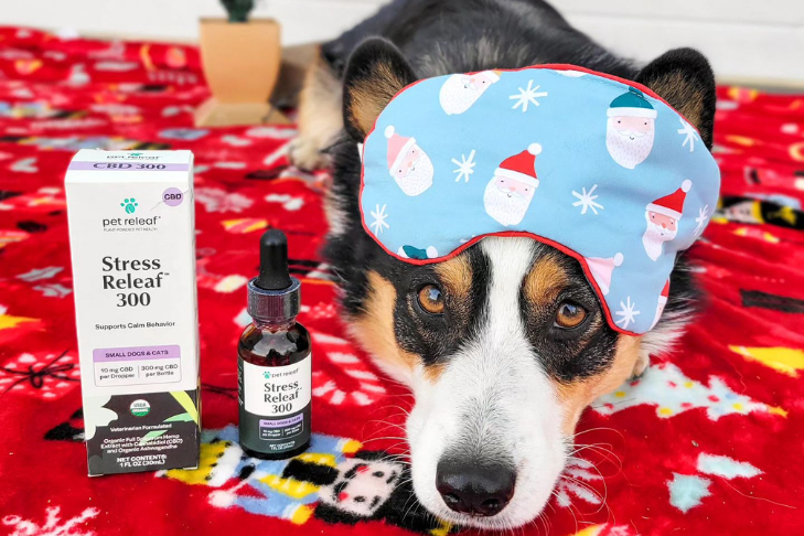 pet safety dog holidays festivities cbd hemp oil