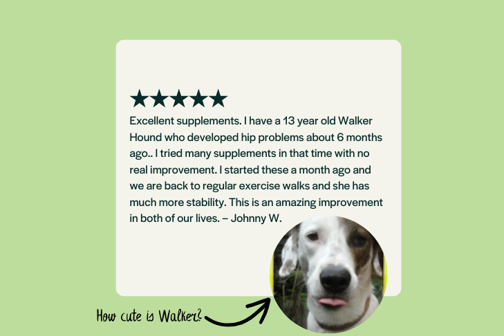 customer testimonial-walker